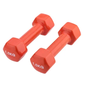 Paire d'haltères epoxy en vinyle antidérapant 2x1.5Kg