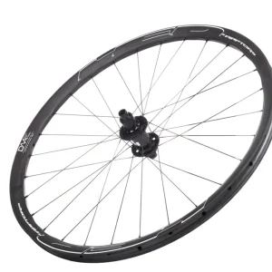 Raptor 29x31mm Carbon Rear 28 spoke Disk Brake R12mm Thru axle 148mm Hub