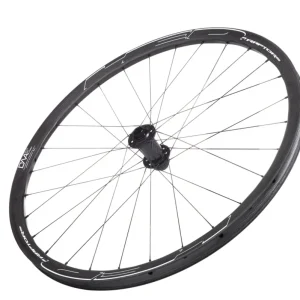 Raptor 29x31mm Carbon Front 28 spoke Disk Brake F15mm Thru axle 110mm Hub